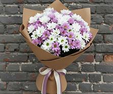 Букет цветов из:  Хризантемы в Спасском Ставропольской области