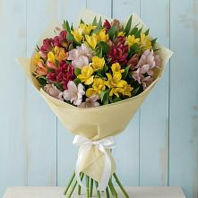 Букет цветов из:  Альстромерии в Спасском Ставропольской области