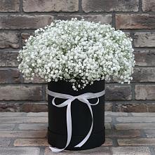 Цветочная композиция из Гипсофила в шляпной коробке в Спасском Ставропольской области