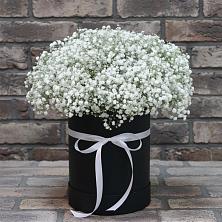 Цветочная композиция из Гипсофила в шляпной коробке в Спасском Ставропольской области