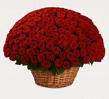 Премиум букет из: Розы #REPLACE_PRED# Спасском Ставропольской области