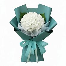 Букет цветов из:  Гортензия в Спасском Ставропольской области